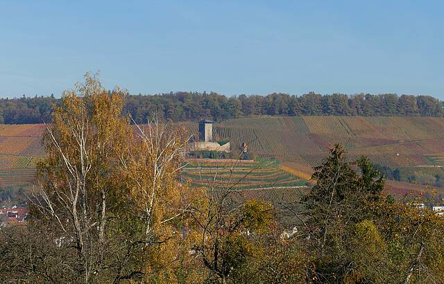 Blick auf Burg Hohenbeilstein