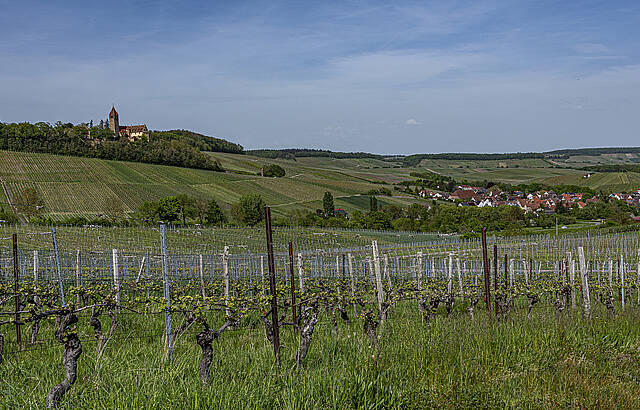 Weinland Zabergäu