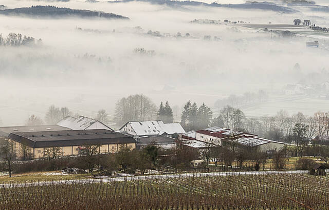 Die Weinkellerei im Nebel 