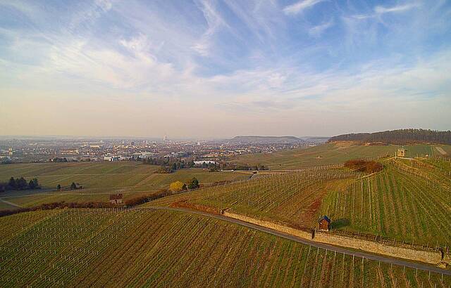 Heilbronner Weinlandschaft 