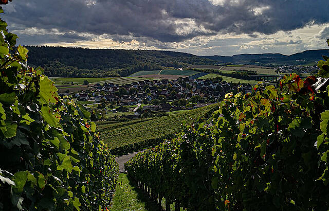 Blick auf die Weinbaugemeinde