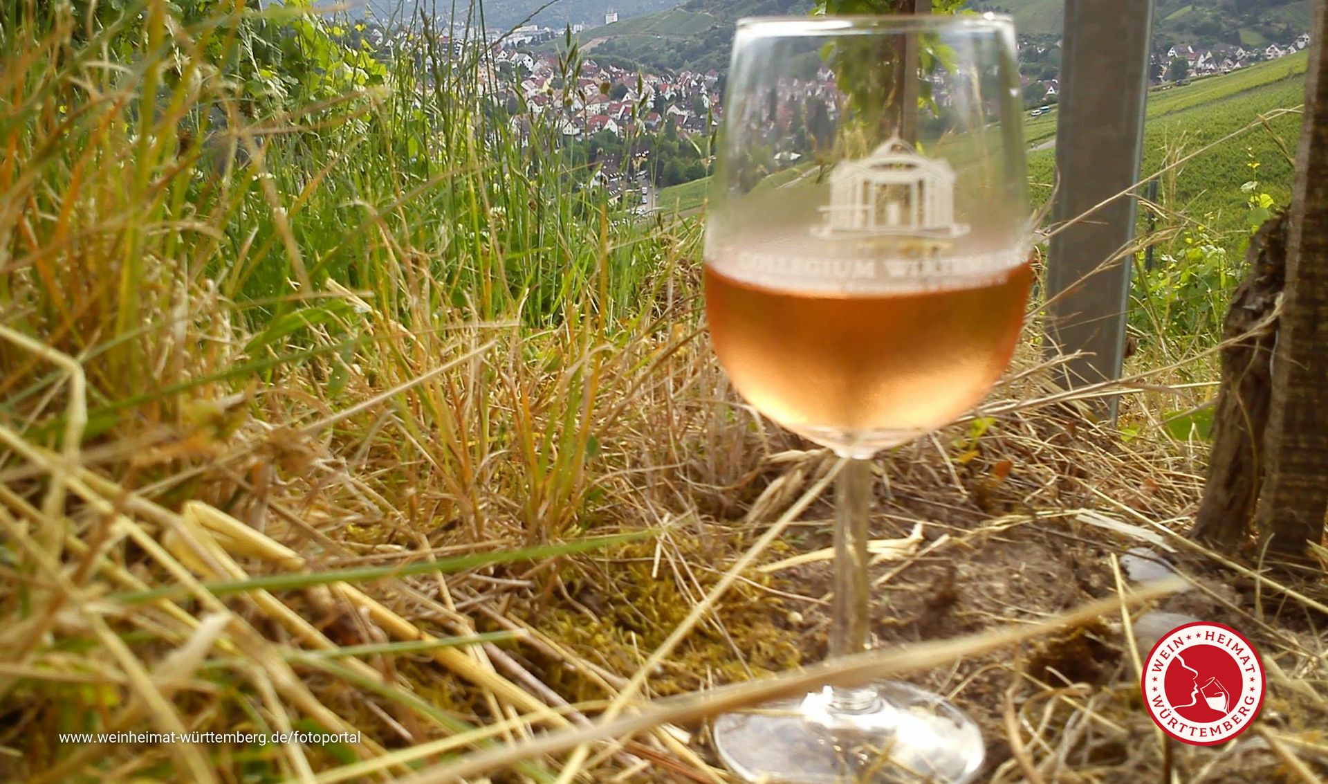 Weinwandertag am Götzenberg