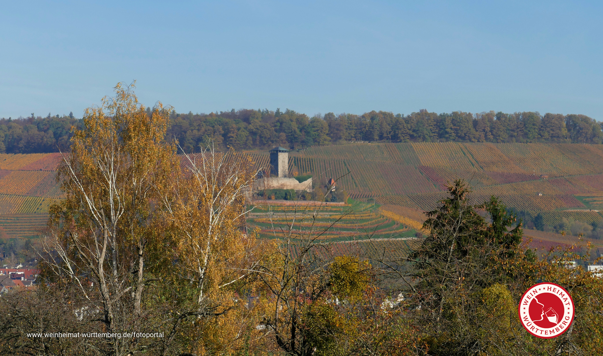Blick auf Burg Hohenbeilstein