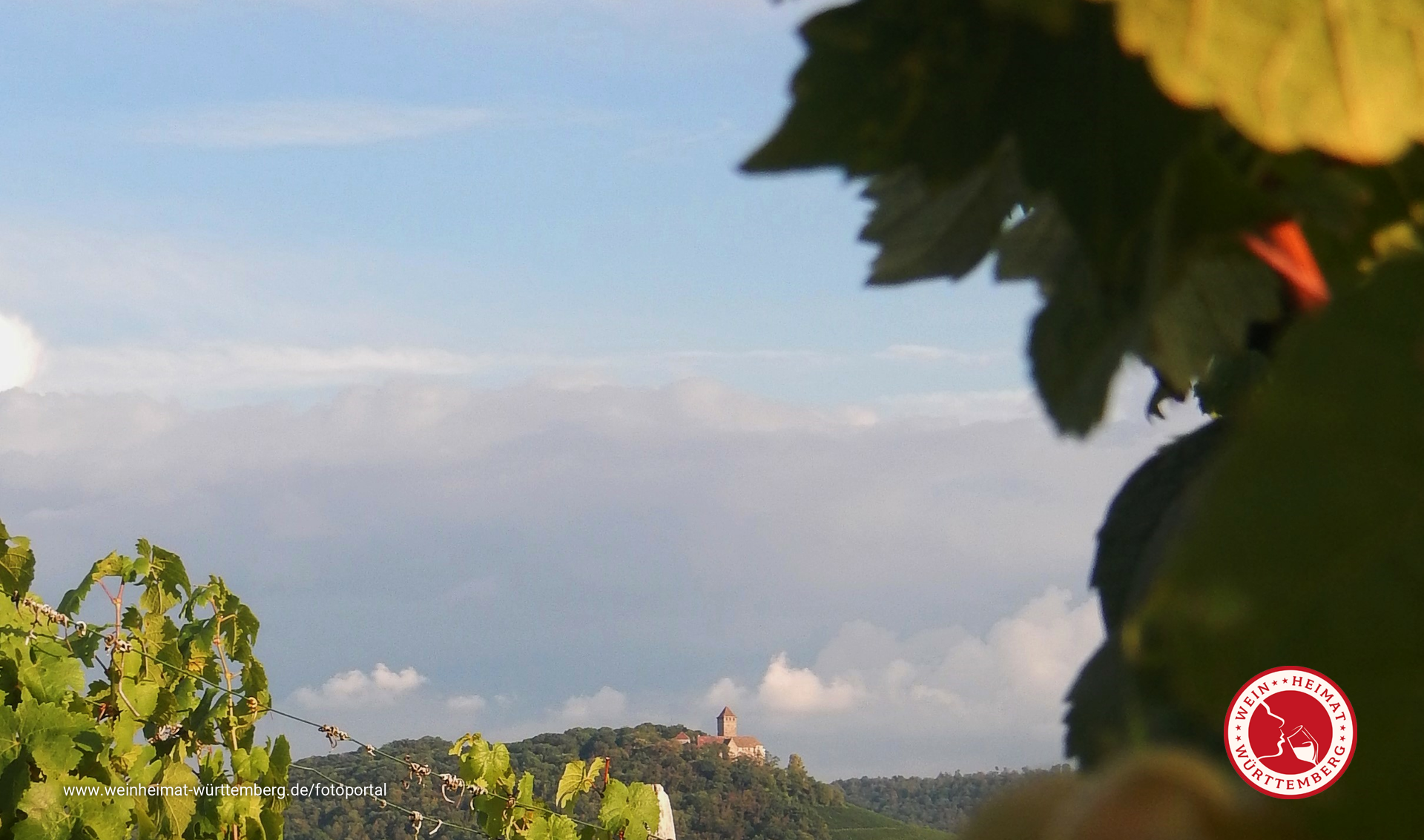 Blick auf Burg Lichtenberg