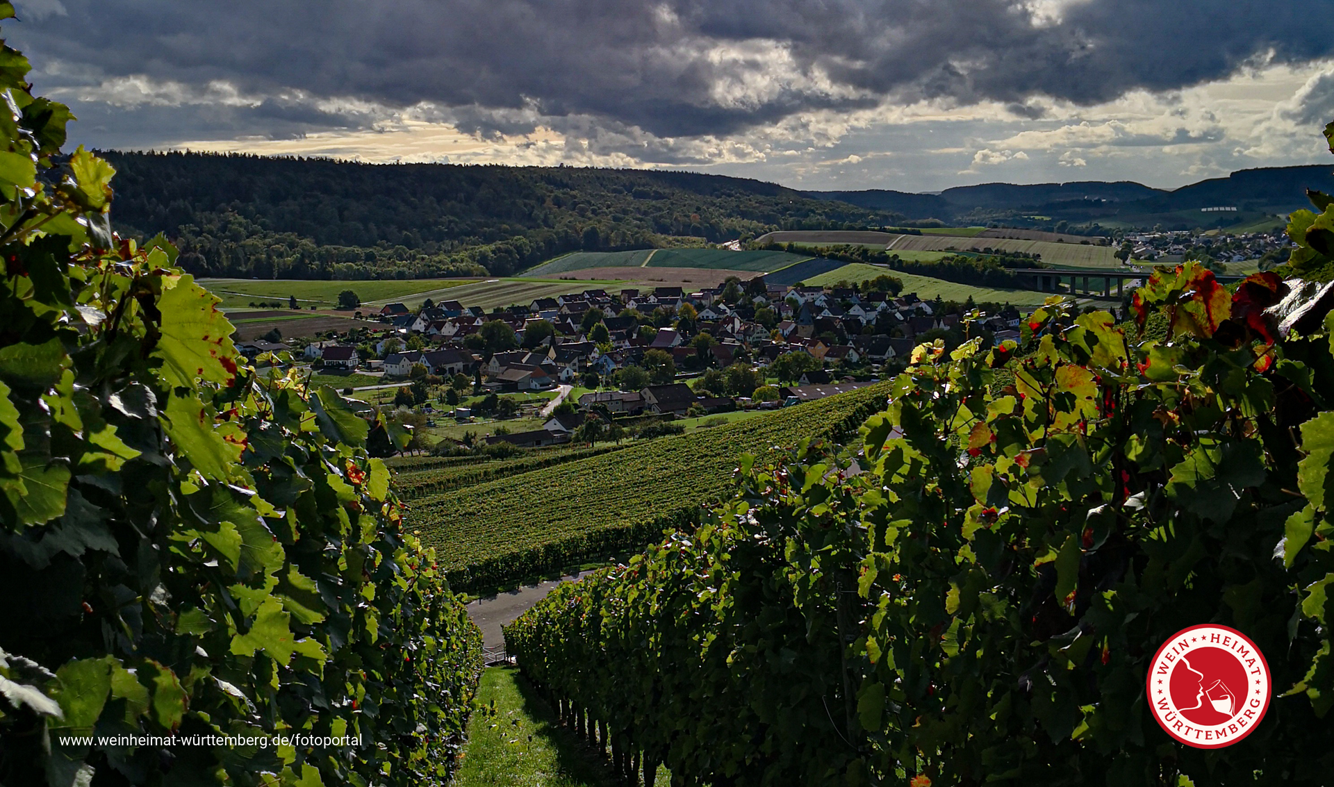 Blick auf die Weinbaugemeinde